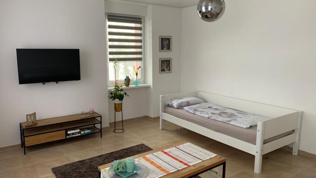 Grenznahe Ferienwohnung Mit 4 Schlafzimmern Grenzach-Wyhlen Dış mekan fotoğraf